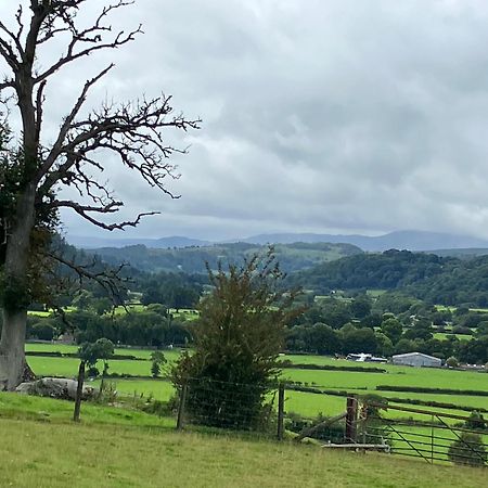 Hares Hideaway At Coed Moelfa Bed & Breakfast Corwen Exterior photo