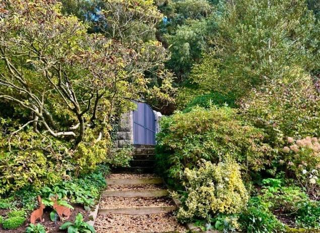 Hares Hideaway At Coed Moelfa Bed & Breakfast Corwen Exterior photo